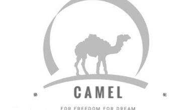 Camel骆驼