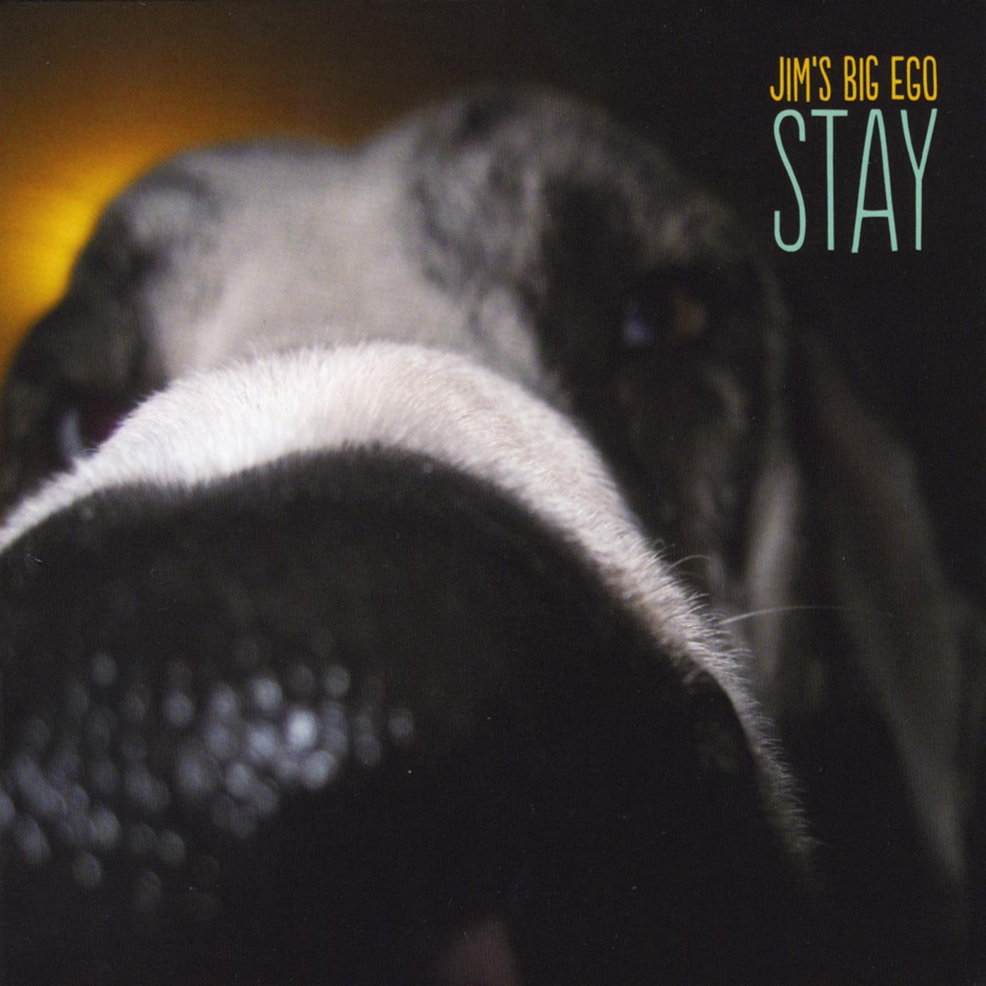 Stay