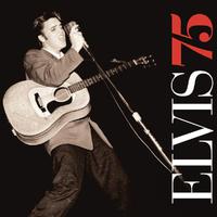 You Don t Have to Say You Love Me - Elvis Presley（版本2）