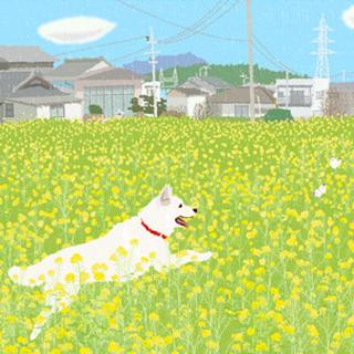 纯音｜于鲜花盛开中，吟唱绚烂春色