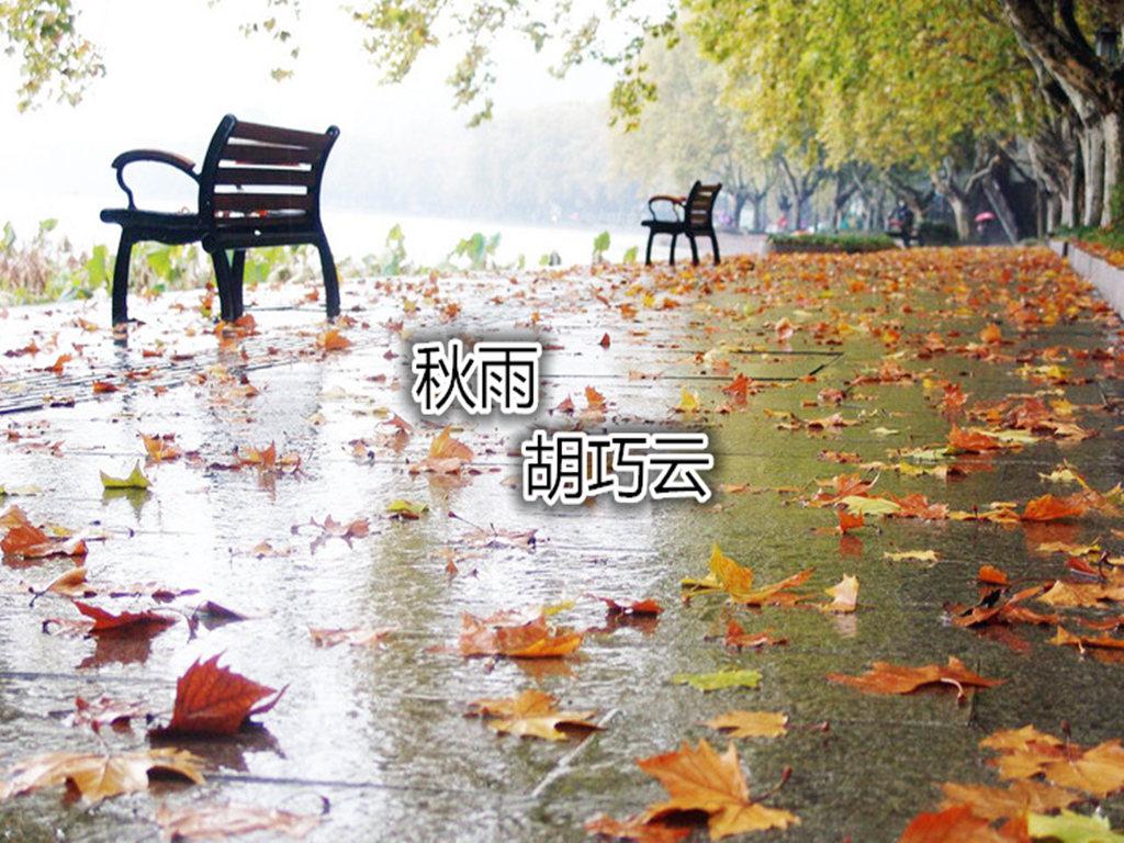 秋雨专辑