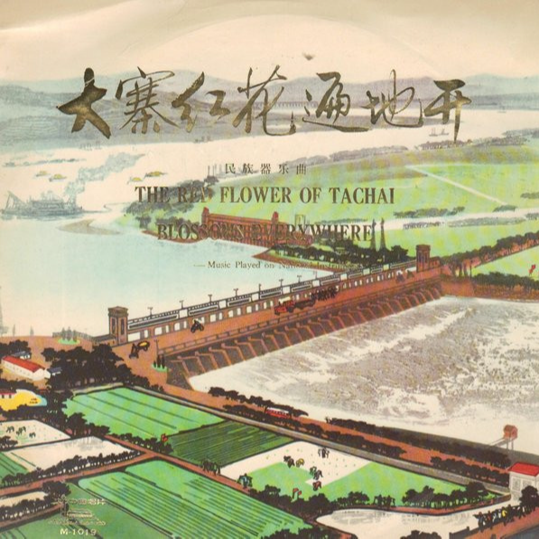 大寨红花遍地开