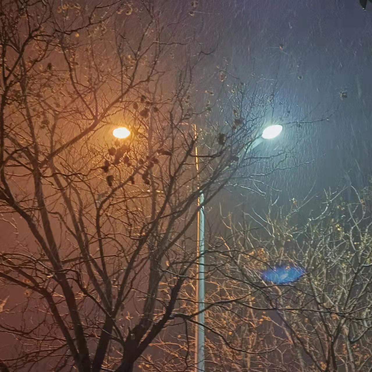 2022年的第一场雪