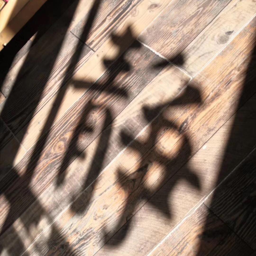 剧本
