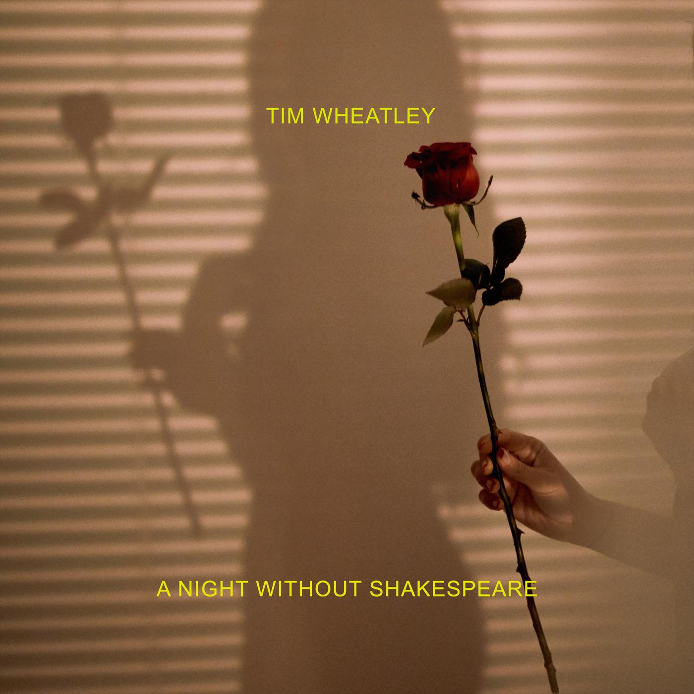 A Night Without Shakespeare