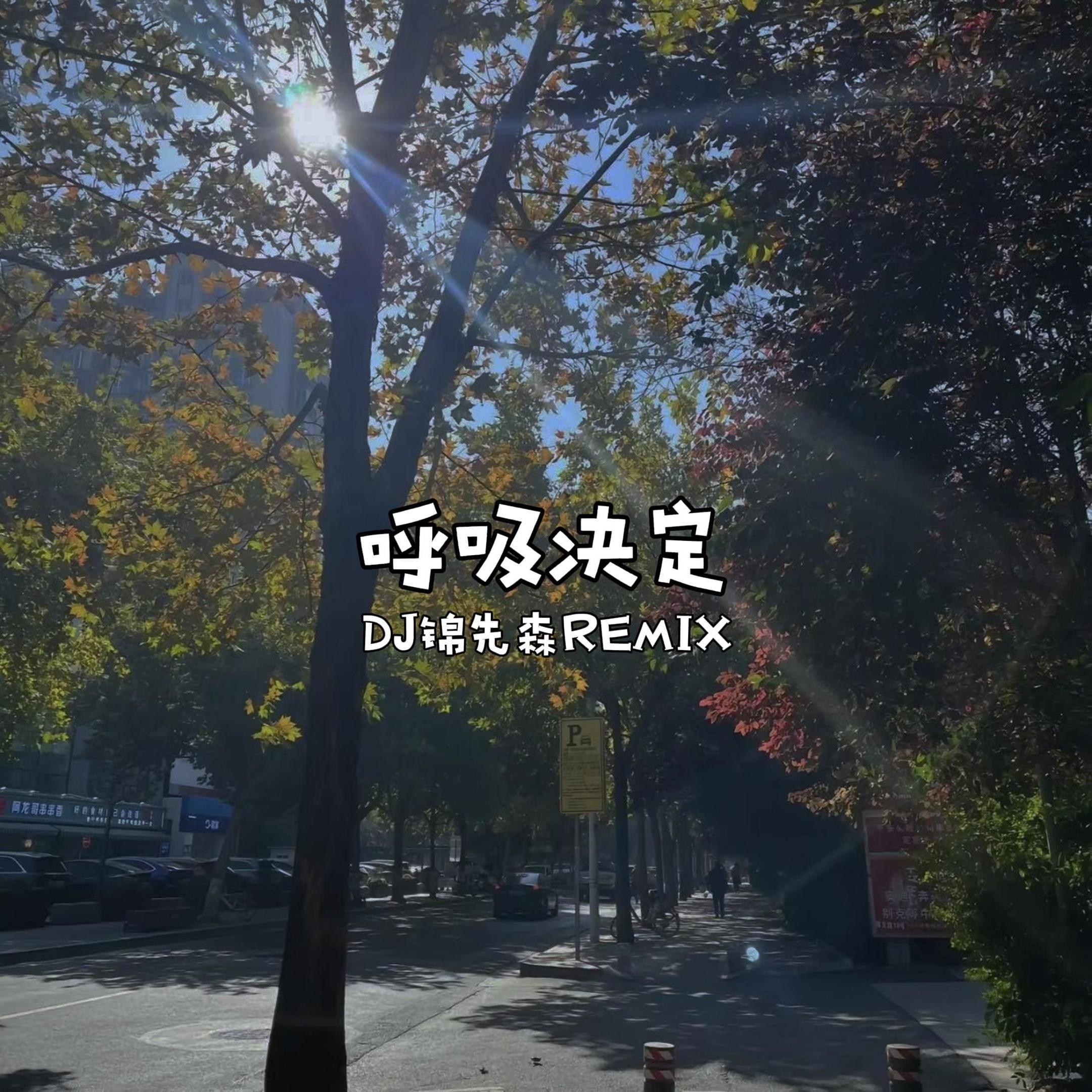 呼吸决定（DJ锦先森 Remix）