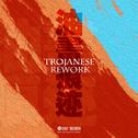 油画痕迹(Trojanese Rework)专辑