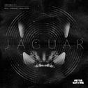 Jaguar专辑