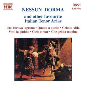Nessun Dorma (live) - Andrea Bocelli (Karaoke Version) 带和声伴奏 （升1半音）