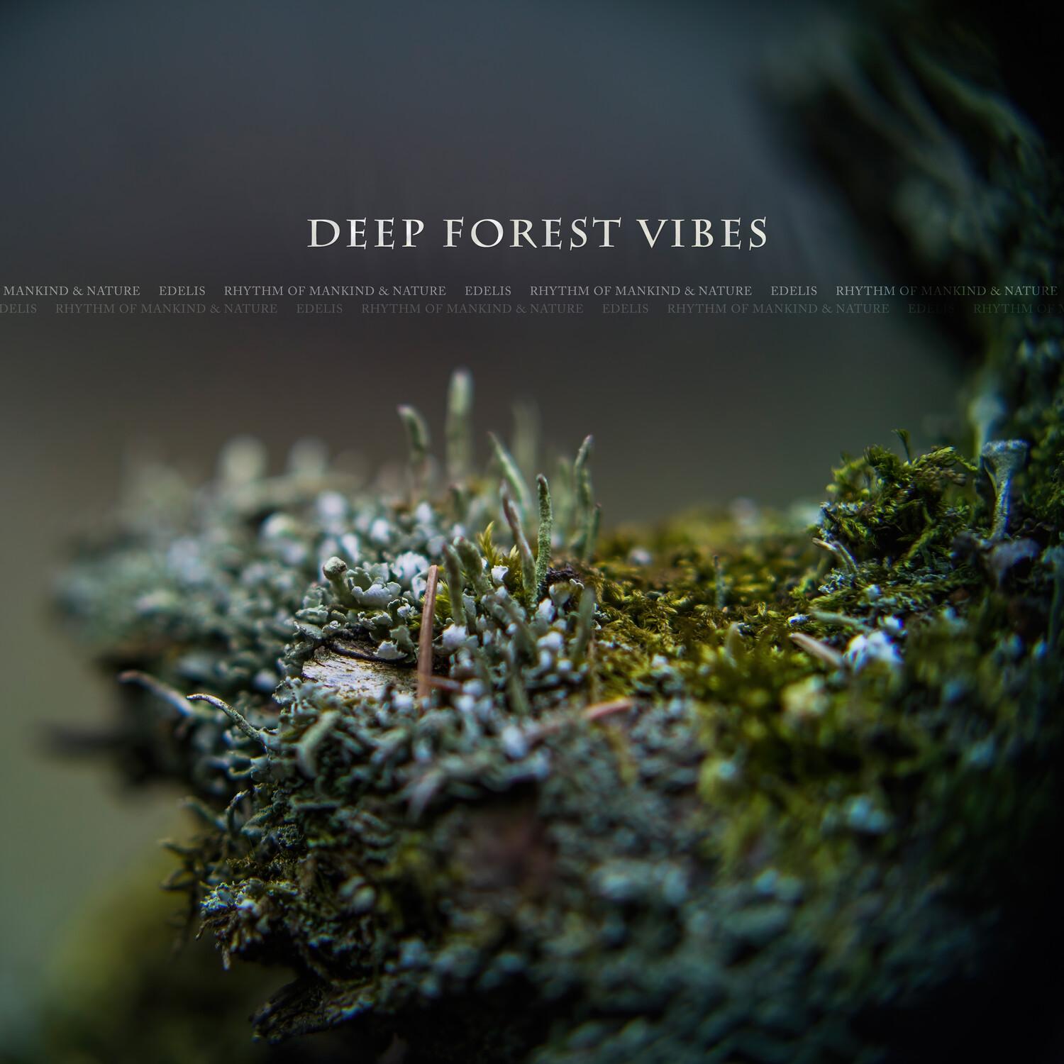 Deep Forest Vibes (Remastered 2021)