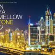 IN YA MELLOW TONE 9