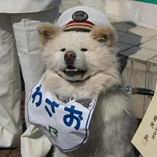 “评论最多的50首纯音乐”