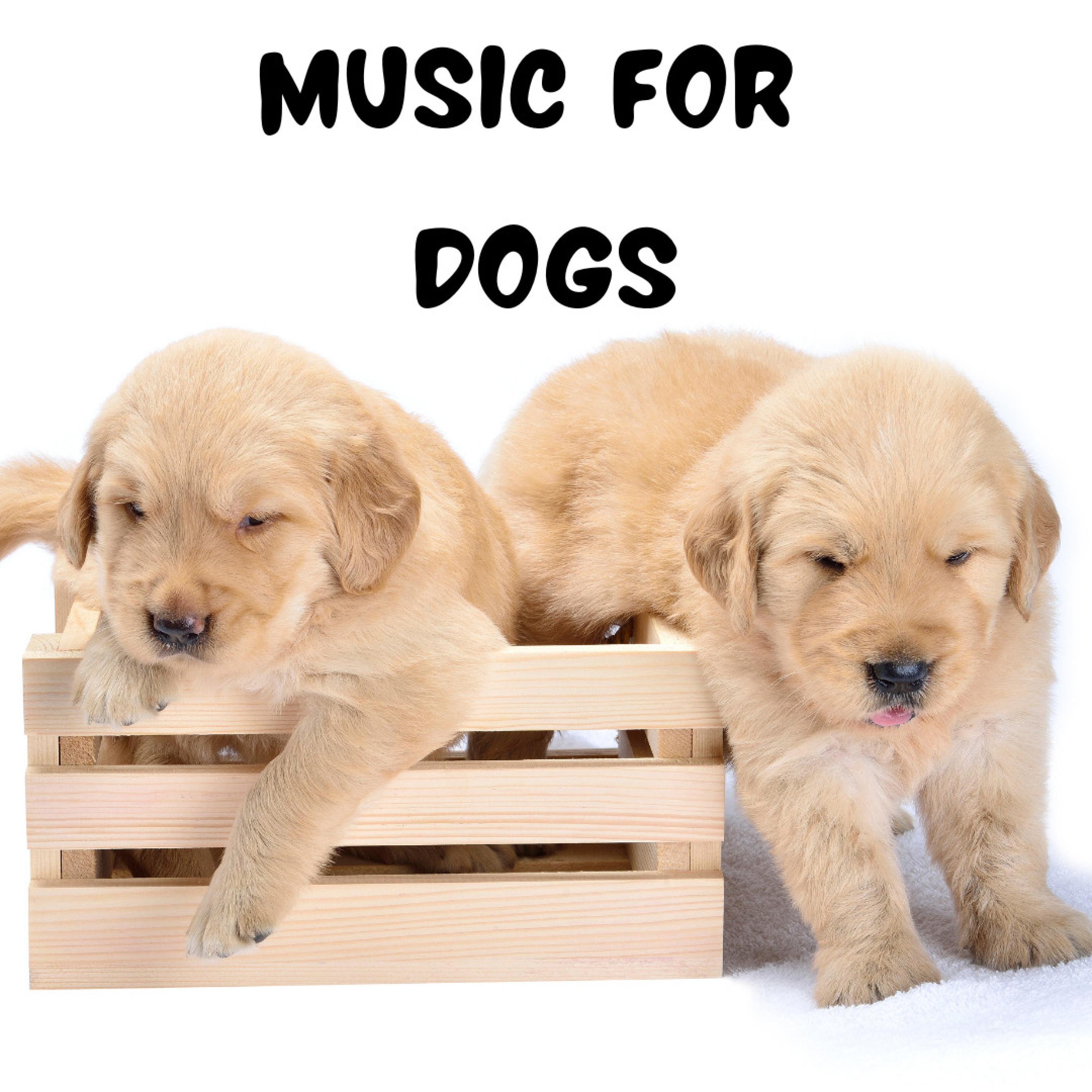 Music For Dogs - Blissful Zen