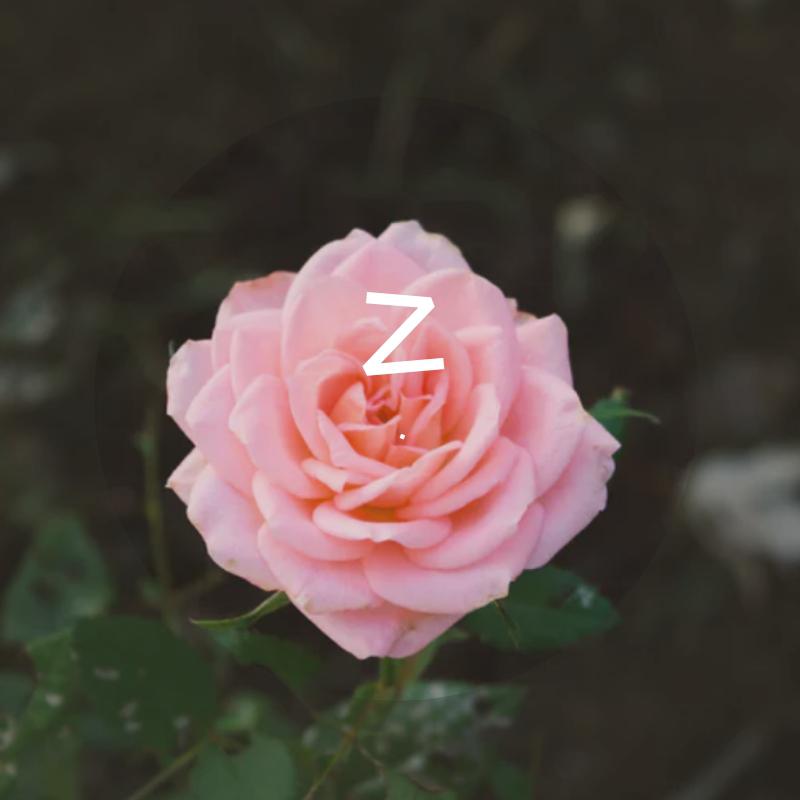 Z
