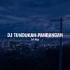 Erli Reja - DJ Tundukan Pandangan (Remix)