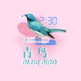 青鸟(Bluebird)