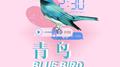 青鸟(Bluebird)专辑