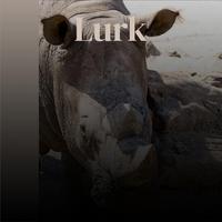 Lurk