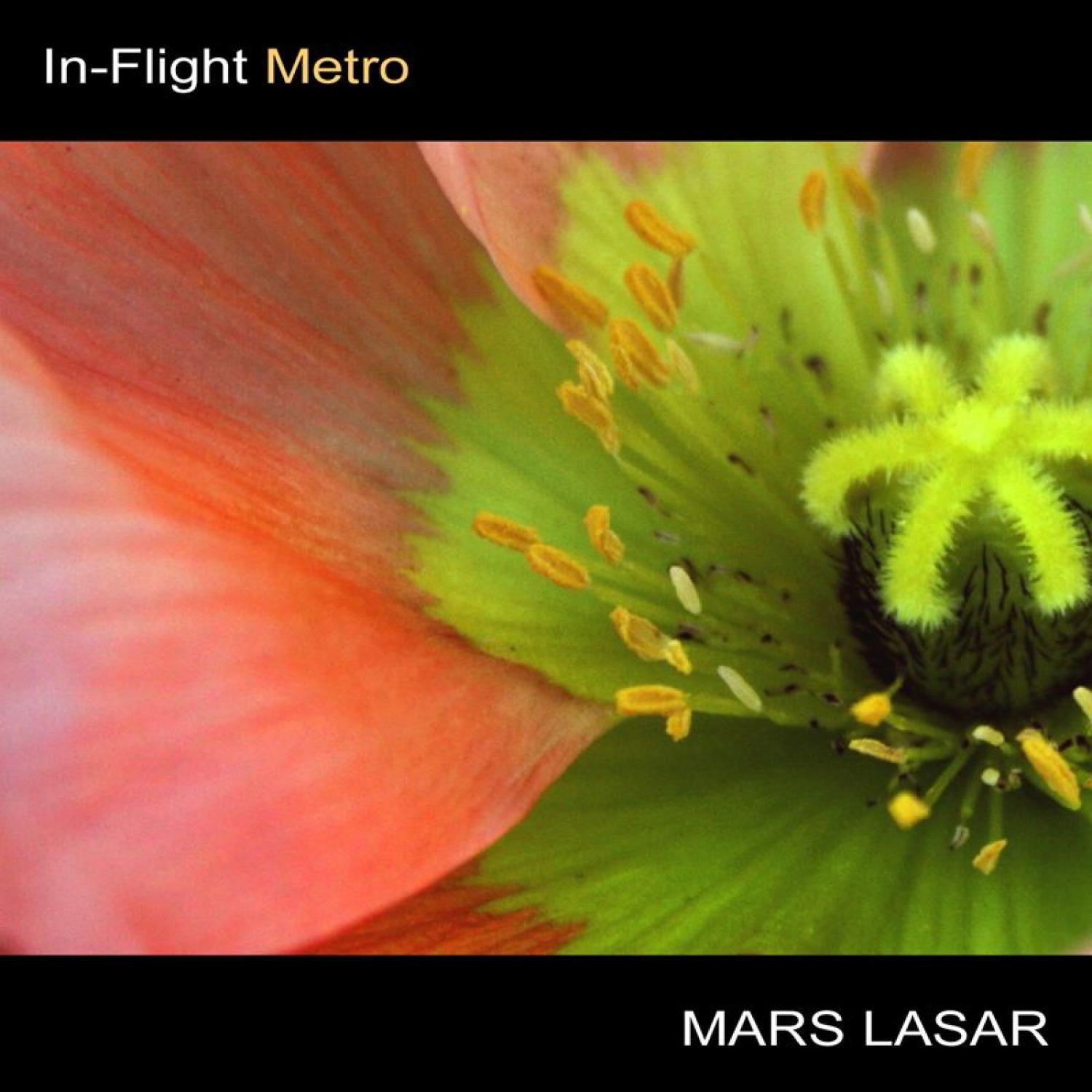 In-Flight Metro