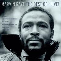 Distant Lover - Marvin Gaye (HT Instrumental) 无和声伴奏