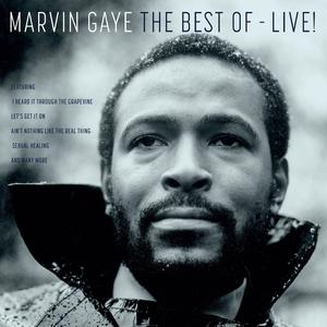 Distant Lover - Marvin Gaye (HT karaoke) 带和声伴奏 （升5半音）