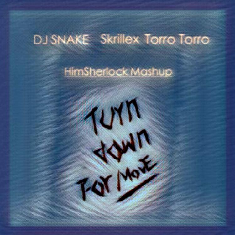 Turn Down For Move (Mashup)专辑