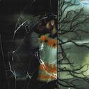 Haunted Hearts专辑