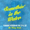 Somethin' in the Water (In the Style of the Cheap Seats) [Karaoke Version] - Single专辑