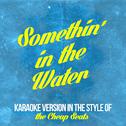 Somethin' in the Water (In the Style of the Cheap Seats) [Karaoke Version] - Single专辑