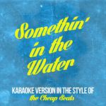 Somethin' in the Water (In the Style of the Cheap Seats) [Karaoke Version] - Single专辑