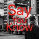 Say you know专辑