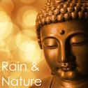 15 Calming Rain Sounds for Natural Anxiety Relief专辑