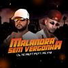 DL no Beat - Malandra Sem Vergonha (feat. Mc Pw) (Remix)