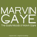 The Soulful Moods of Marvin Gaye