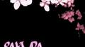 Sakura专辑