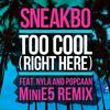 Too Cool (Right Here) (MiniE5 Remix)