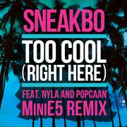 Too Cool (Right Here) (MiniE5 Remix)