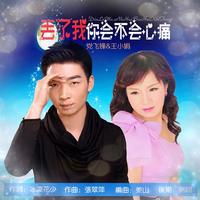 丢了我你会不会心痛-(缺女声伴奏)