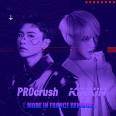 DJ Snake-Made In France（PROcrush / KinKin remix）