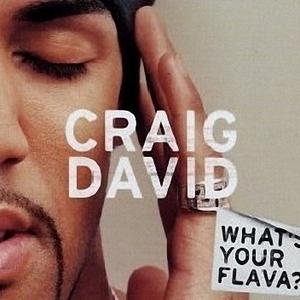 Craig David - WHAT'S YOUR FLAVA （降4半音）