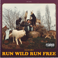 Run Wild Run Free