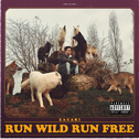 Run Wild Run Free专辑