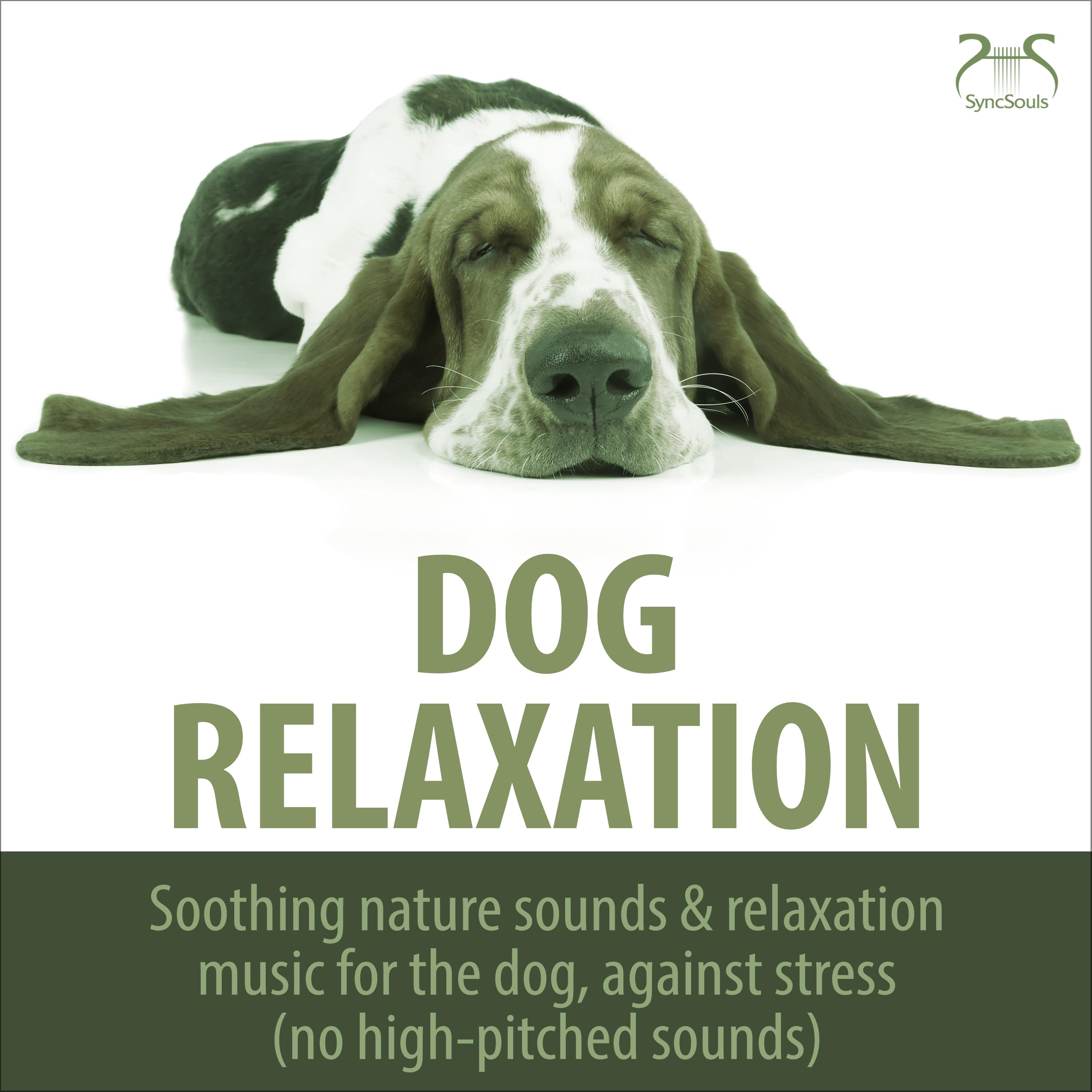 Dog Relaxation - Soothing Nature Sounds & Relaxation Music for the Dog, Against Stress (No High-Pitched Sounds)