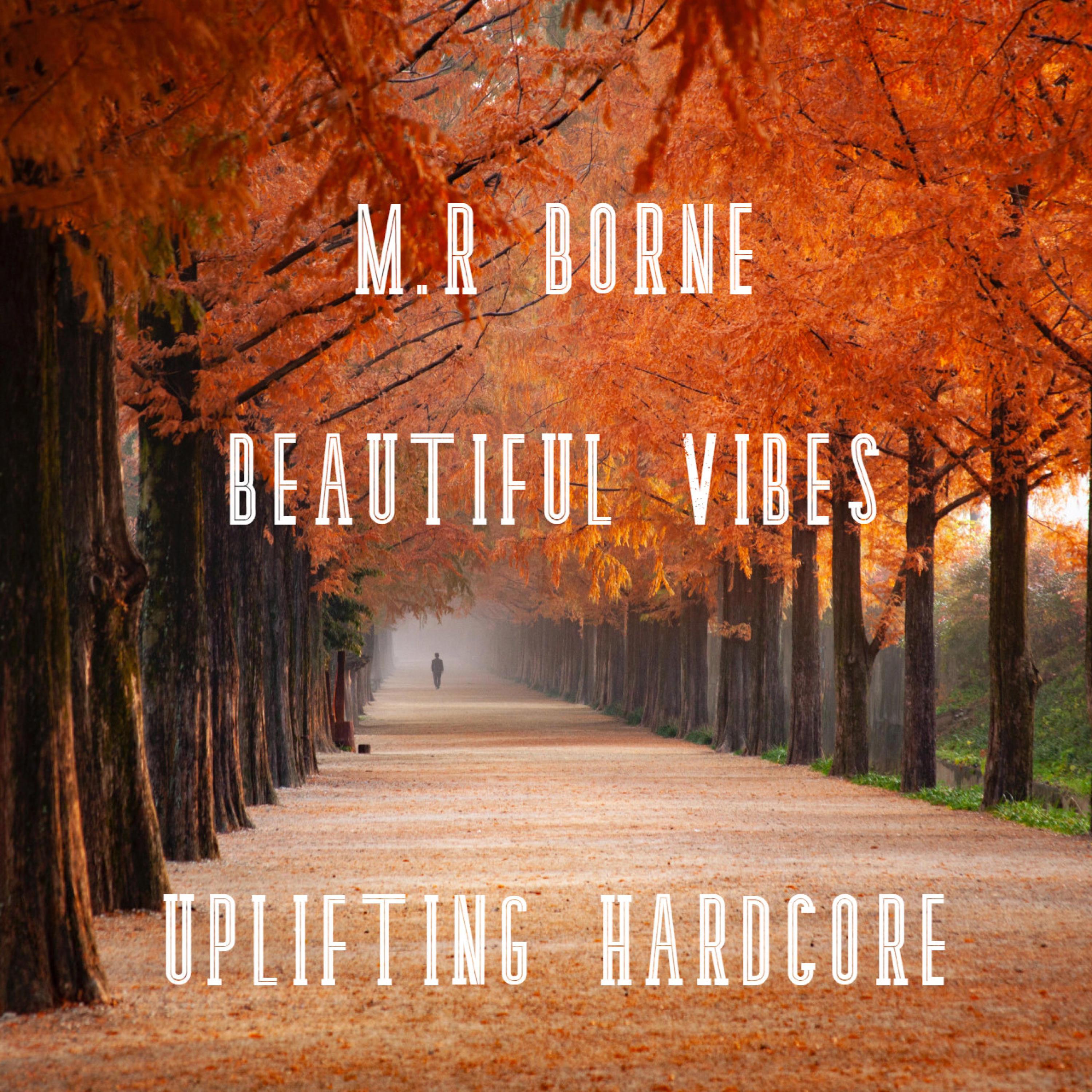 Beautiful Vibes (Radio Edit)