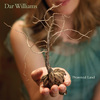 Dar Williams - Go To The Woods