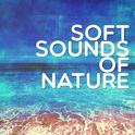 Soft Sounds of Nature专辑