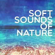 Soft Sounds of Nature