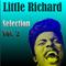 Little Richard - Selection Vol. 2专辑