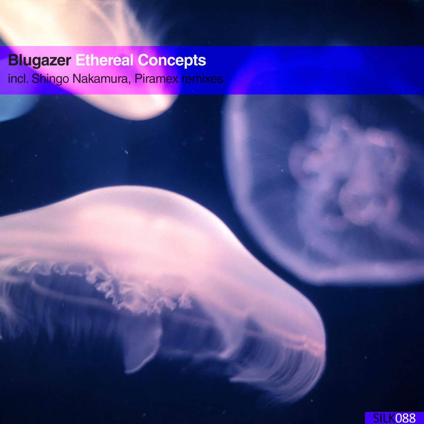 Ethereal Concepts (Shingo Nakamura Remix)