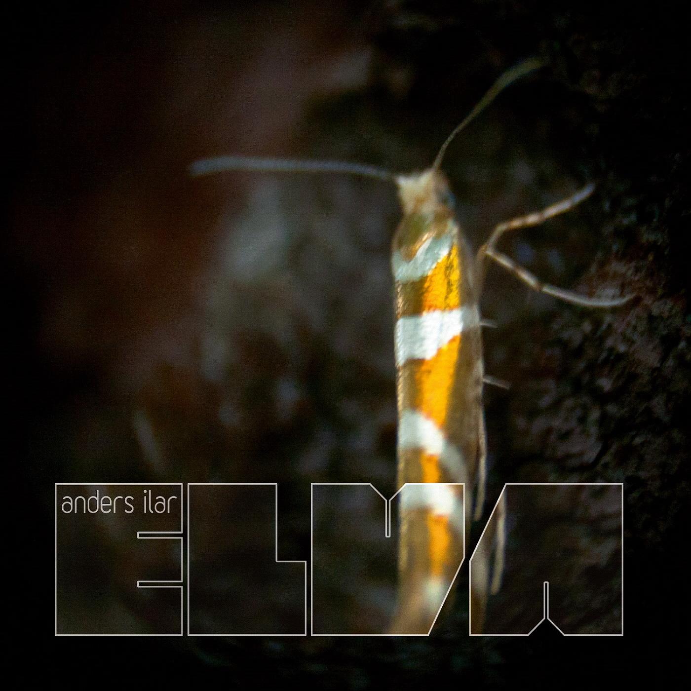 Elva
